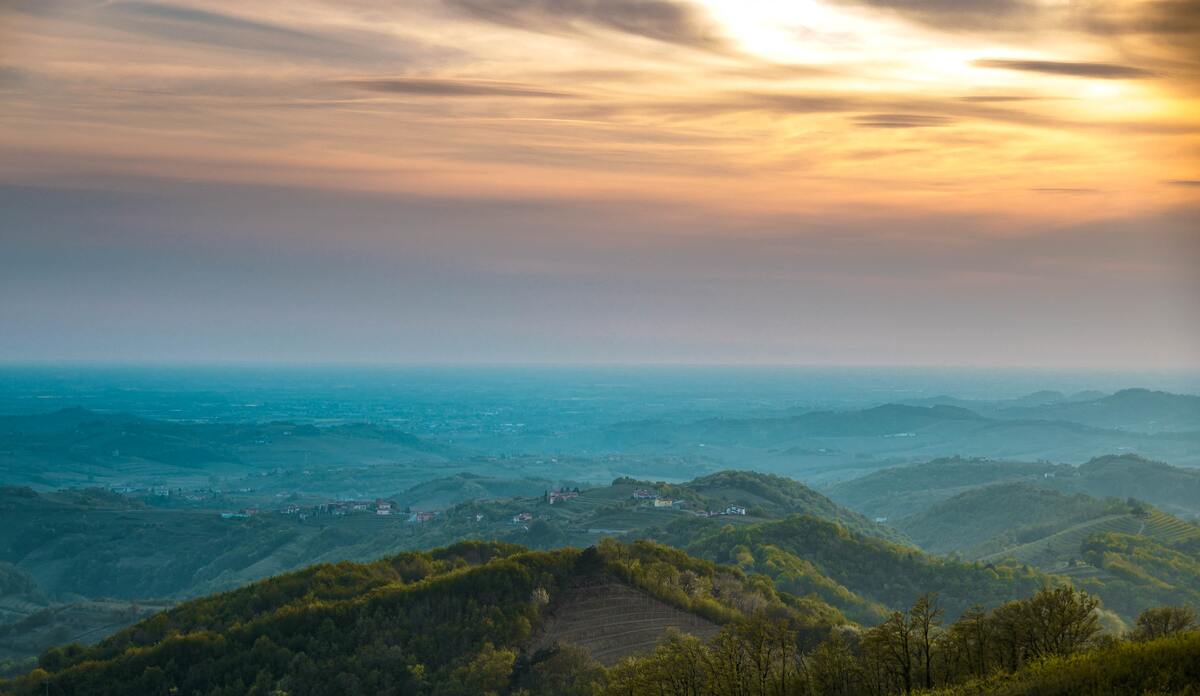 老高分享的博客